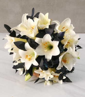 St Joseph Lilies