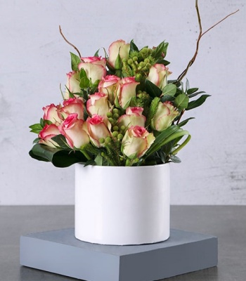 Variegated Roses in White Box