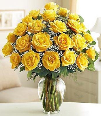 24 Yellow Rose Arrangement with Free Glass Vase