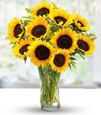 Sunflowers in Tall Glass Vase