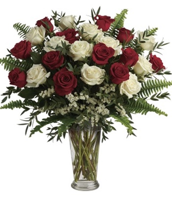 18  Red and White Roses