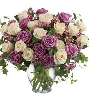 Rose Arrangement - 24 Cream and Purple Roses