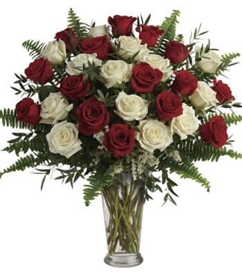 24  Red and White Roses