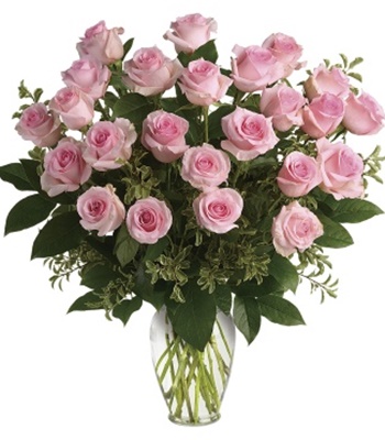 24 Pink Roses