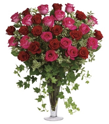 30 Long Stem Pink Roses
