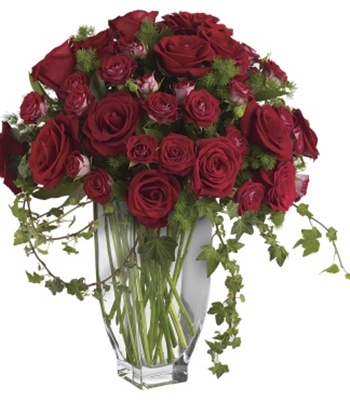 Classic Valentine's Day Red Roses