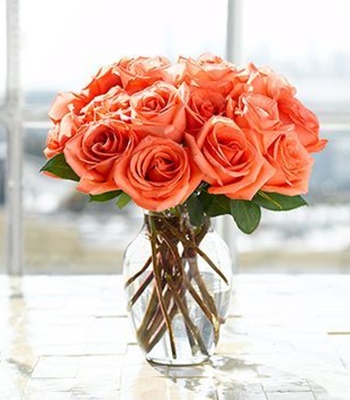 Fiery Love Orange Roses