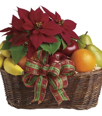 Poinsettia & Fruit Basket