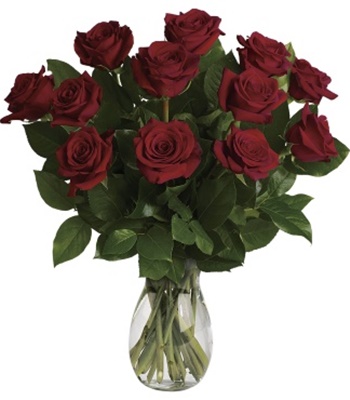 My Only Love 18 Deep Red Long Stem Roses