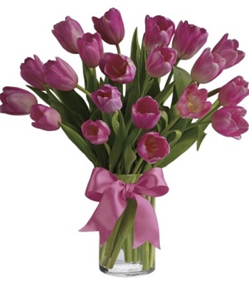 Precious Pink Tulips To Show You Care
