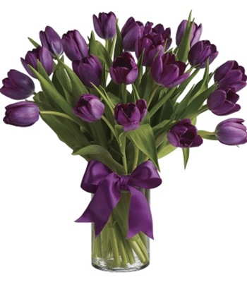 Purple Tulips in Clear Cylinder Vase