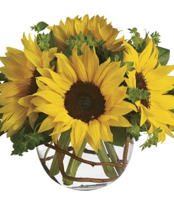 Sunny Sunflowers In Glass Bubble Bowl