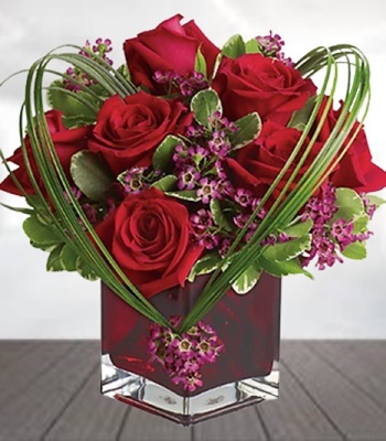 Red Roses in Red Cube Vase - Deluxe Size