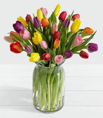 Assorted Tulips - 30 Stems