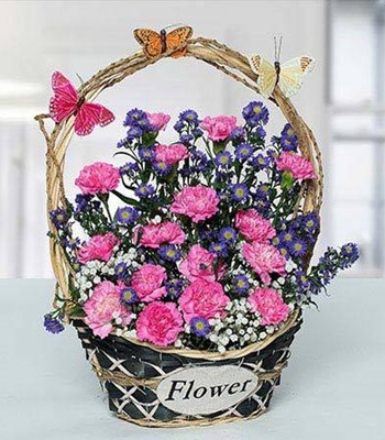 Carnation Flower Basket With Blue Asters
