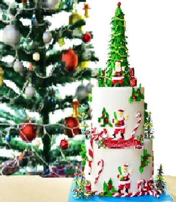 Christmas Cake - Large 4kg