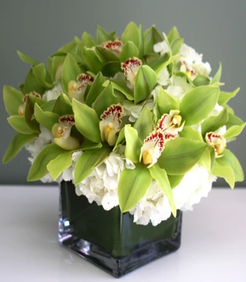 Green Cymbidium Orchid Arrangement