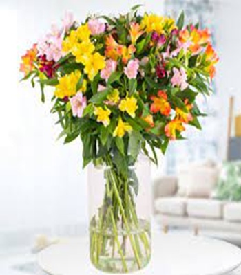 Mix Color Alstroemeria Flower Bouquet