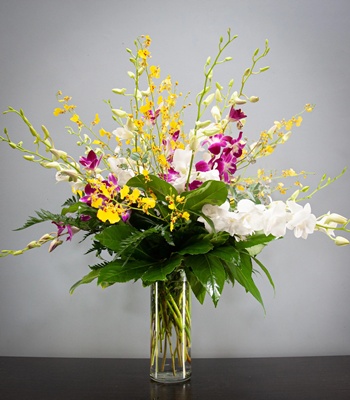 Mix Orchids in Vase