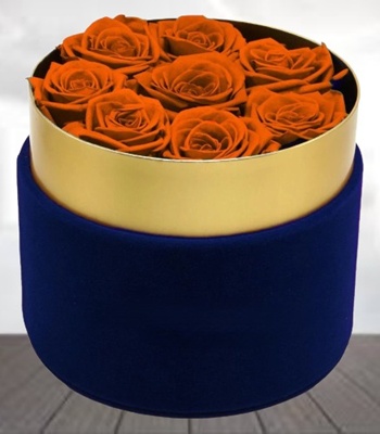 Orange Rose Box - 20 Orange Roses