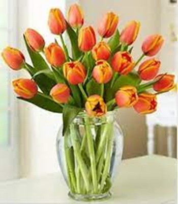 Orange Tulips in Clear Glass Vase