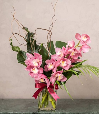 Pink Cymbidium Orchid in Vase