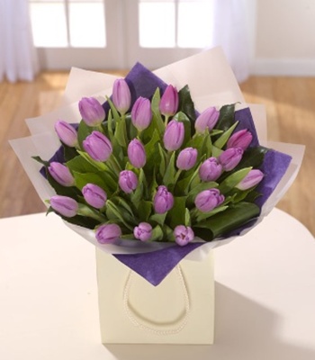 Purple Tulips in Squire box
