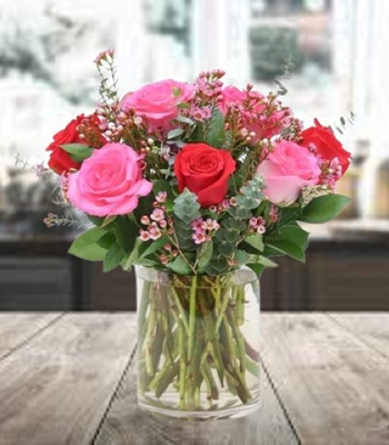 10 Red and Pink Roses