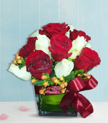 Red and White Roses In Vase