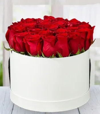 25 Red Roses in White Box