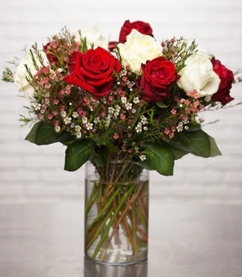 Red and White Rose Arrangement - Free Vase
