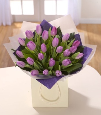 Tulips in White Box - 40 Stems