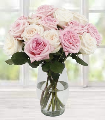 White Ohara and Pink Roses