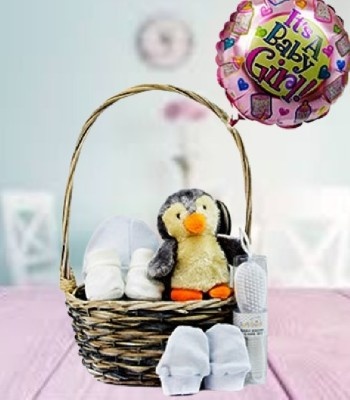 Baby Girl Essentials Gift Basket