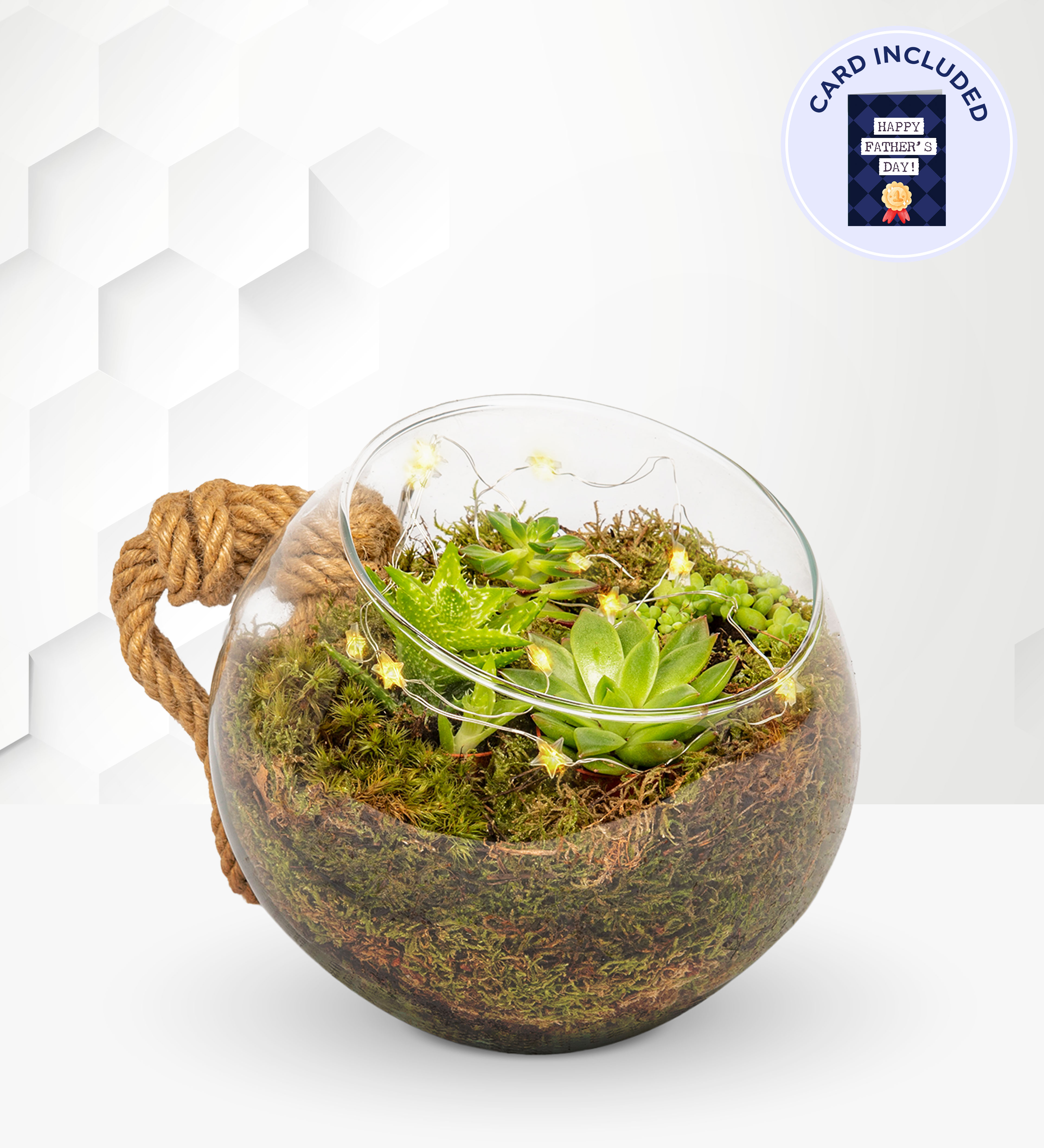 Large Organic Terrarium With Card