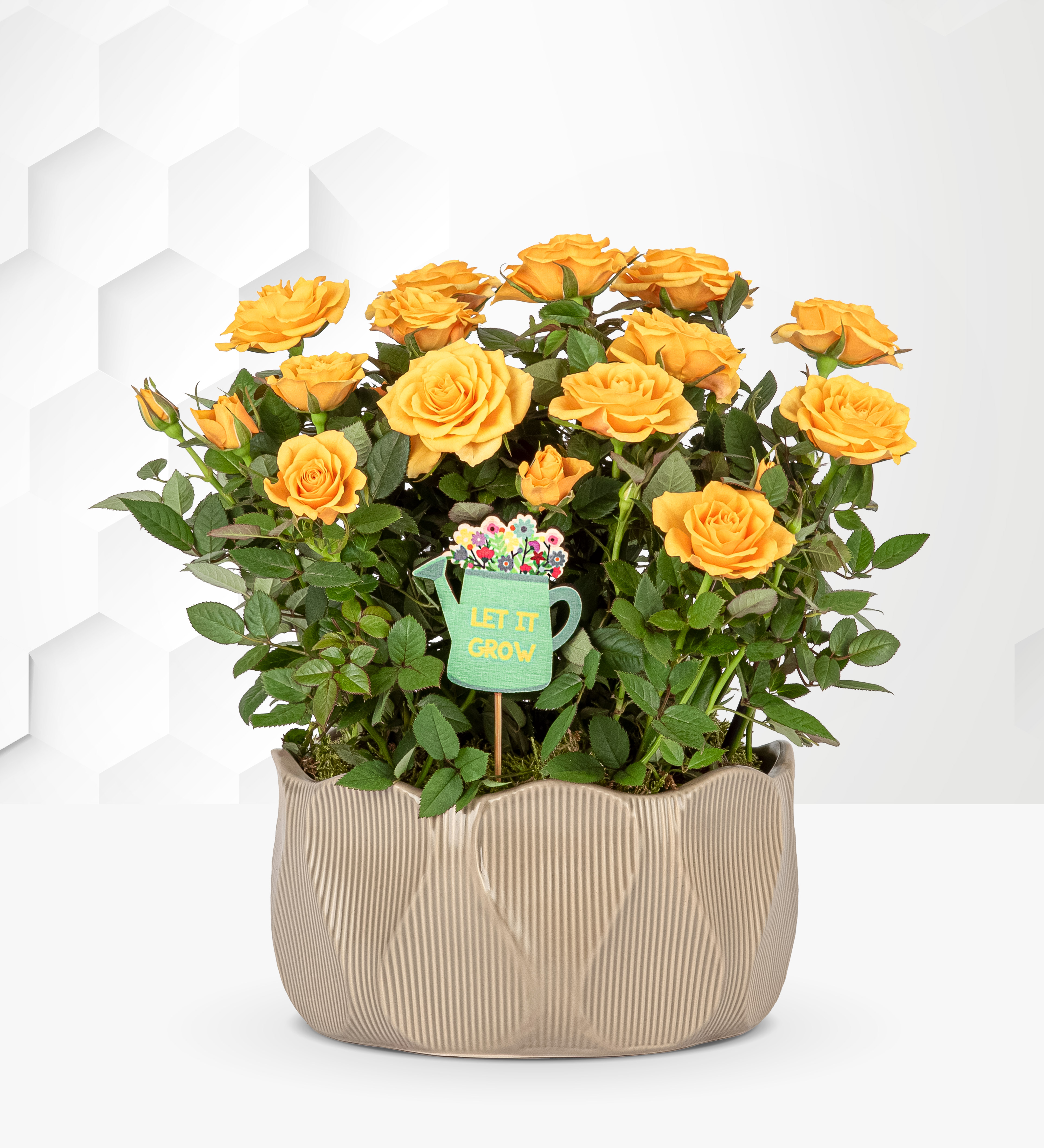 Luxury Summer Rose Bowl