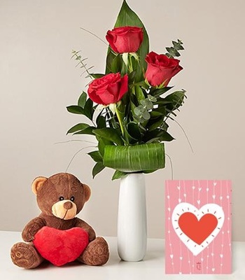 Red Roses With Teddy Bear & Greeting Card