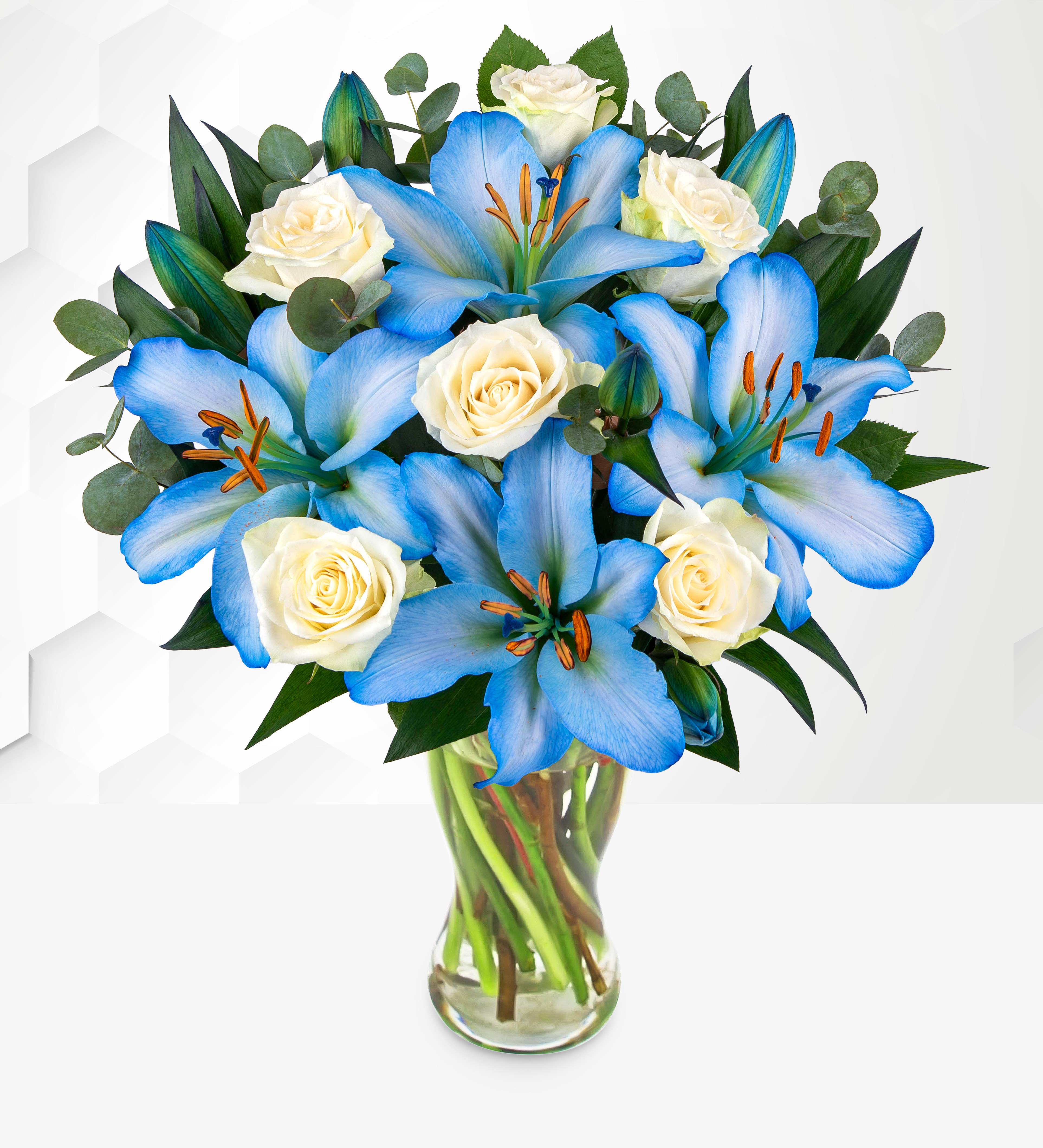 Sapphire Rose Symphony