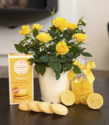 Yellow Roses Gift Set