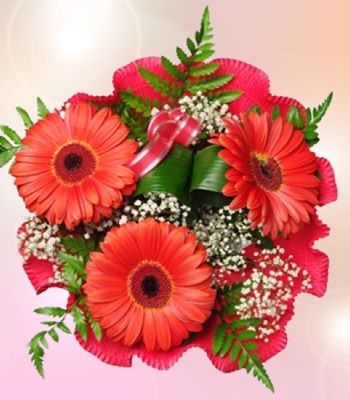 Red Gerbera Daisy Bouquet with Greenery and Ribbon