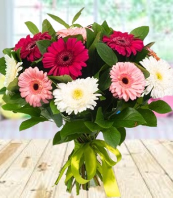 Gerbera Daisy Bouquet - Red, White and Pink Color Gerberas