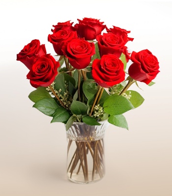 Dozen Roses