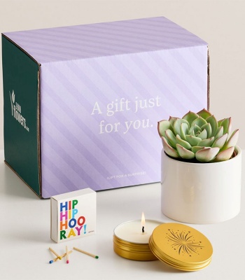 3-in-1 Succulent, Candle & Matchbox Gift Set