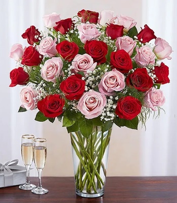 36 Pink and Red Roses With Vase