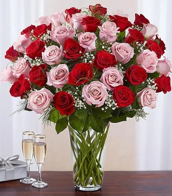 48 Pink and Red Rose Arrangement With Vase