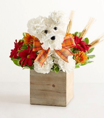 a-DOG-able for Fall Arrangement