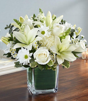 All White Sympathy Arrangement In Cube Vase