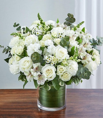 All White Sympathy Arrangement in Cylinder Vase
