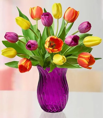 Mix Color Tulip Arrangement - 15 Stems Assorted Tulips