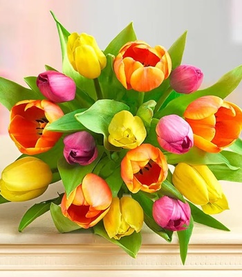 Mix Tulip Bouquet - 15 Stems Assorted Tulips